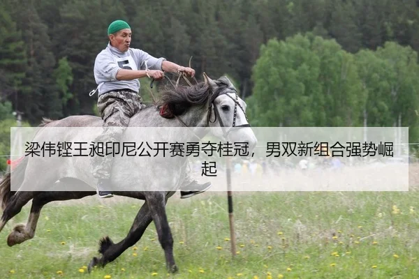 梁伟铿王昶印尼公开赛勇夺桂冠，男双新组合强势崛起