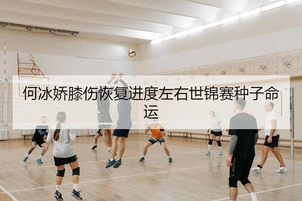 何冰娇膝伤恢复进度左右世锦赛种子命运